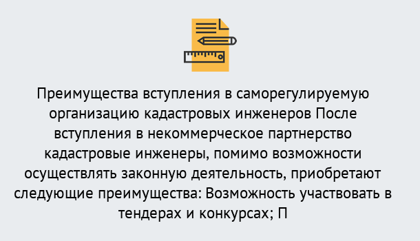 Почему нужно обратиться к нам? Фролово Что дает допуск СРО кадастровых инженеров?