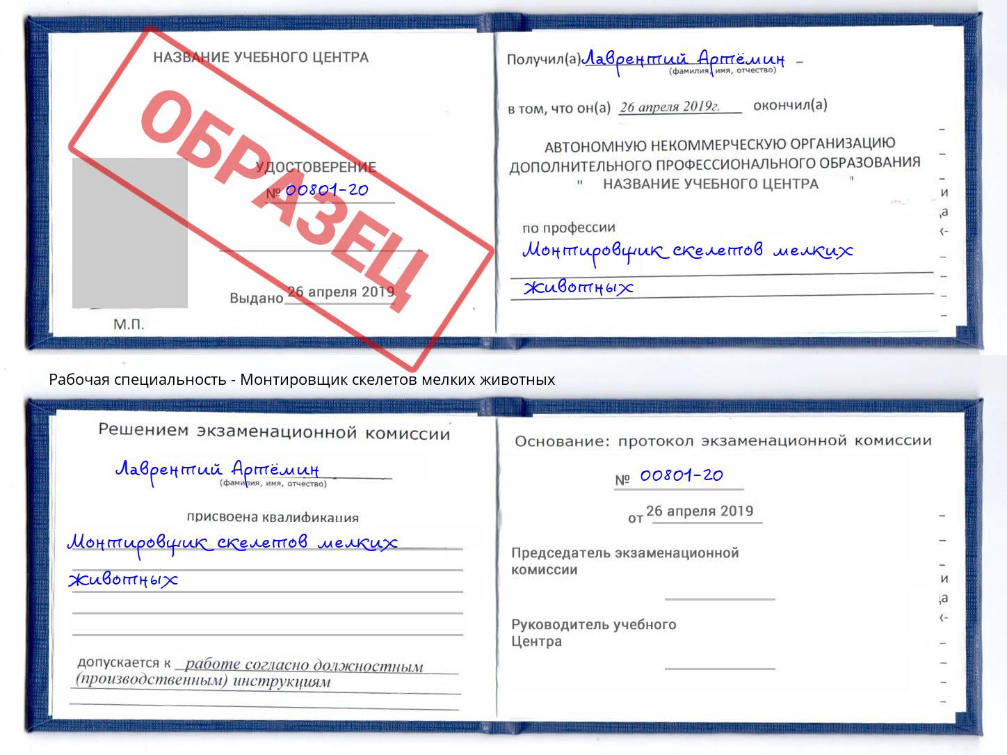 Монтировщик скелетов мелких животных Фролово