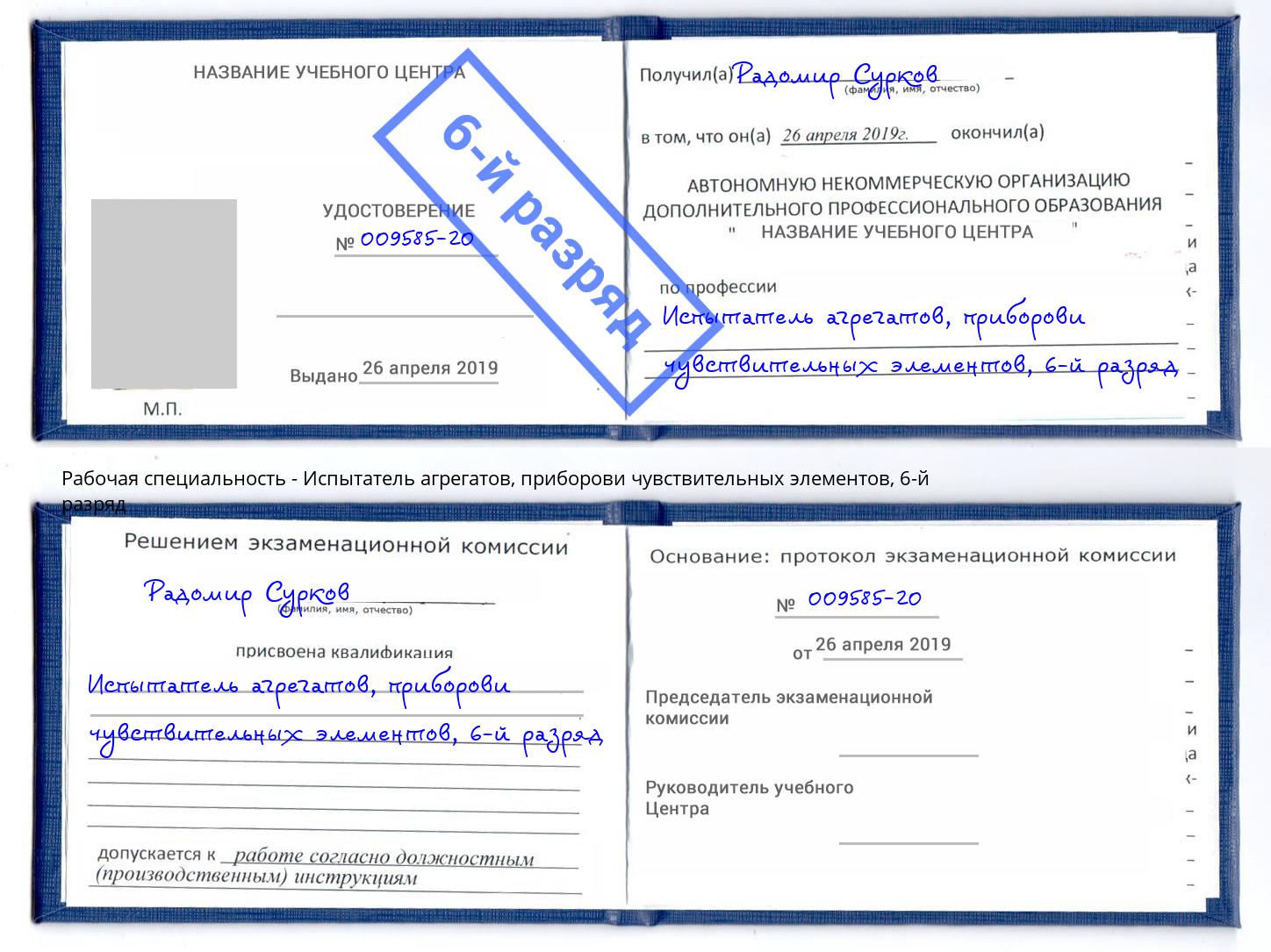 корочка 6-й разряд Испытатель агрегатов, приборови чувствительных элементов Фролово