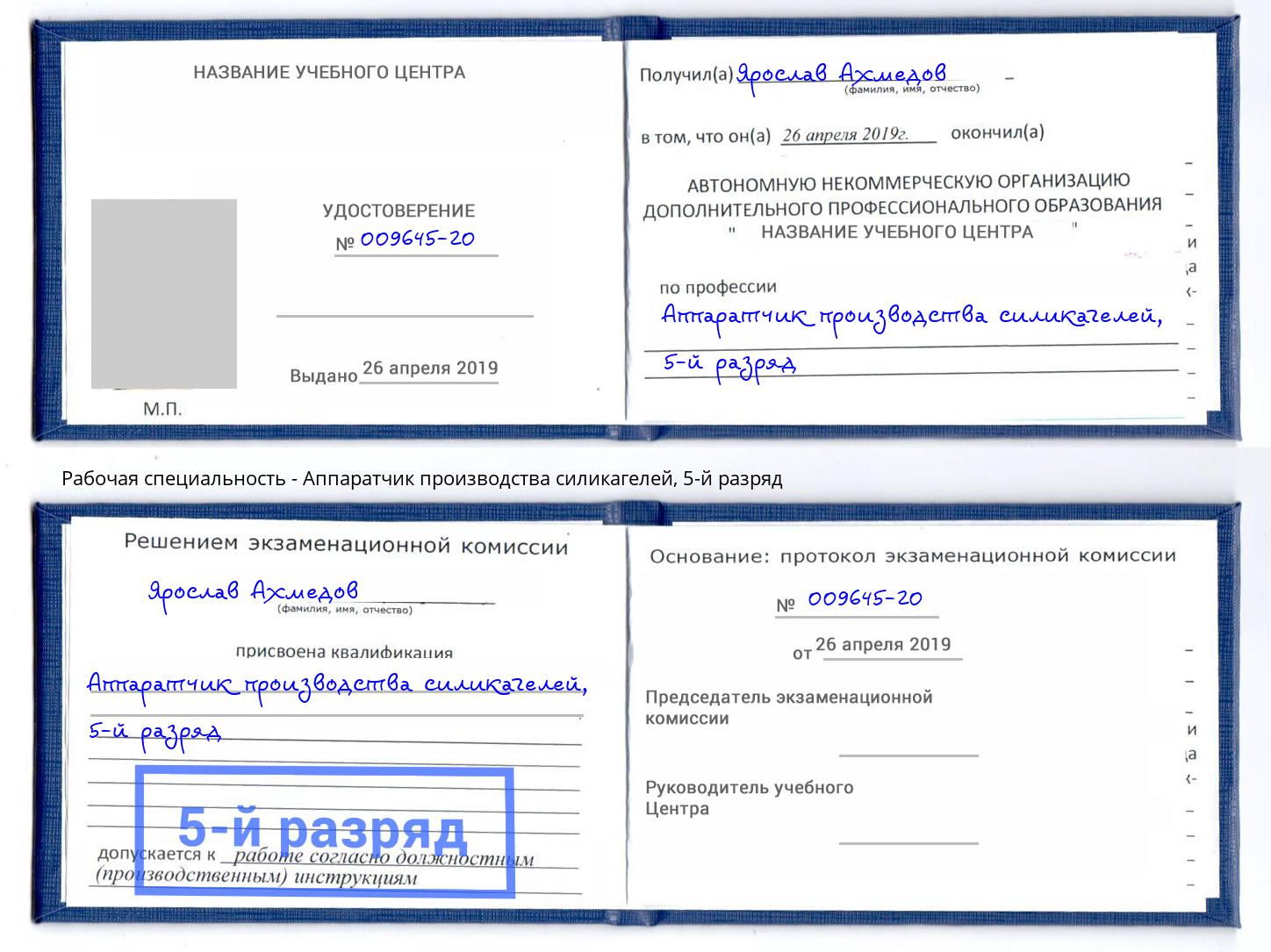 корочка 5-й разряд Аппаратчик производства силикагелей Фролово